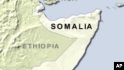 Al-Qaida Linked Group Gains Control of Somali Port City