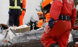 A rescue dog is seen on a collapsed building in Durres, after an earthquake shook Albania, November 29, 2019.