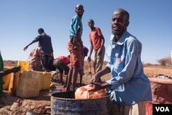 FILE - Mohamed Ibrahim Yassin scoops well water from a barrel for his remaining livestock in the Somaliland region of Somalia, Feb. 9, 2017. (J. Patinkin/VOA)