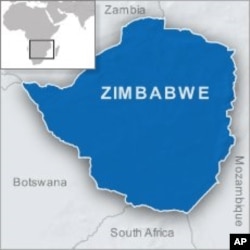 Zimbabwe Legislator Freed on Bail After Calling President Gay