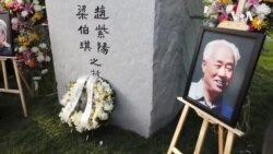 赵紫阳墓前采访王雁南：不敢相信这是真的