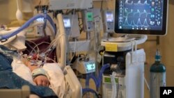 A COVID-19 patient is seen on life-support in the COVID-19 Intensive Care Unit at Dartmouth-Hitchcock Medical Center, in Lebanon, New Hampshire, Jan. 3, 2022.