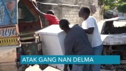 Ayiti: Gang Ame Atake Delma 19