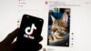 Paper: TikTok parent ByteDance’s value at $300 billion amid US ban uncertainty