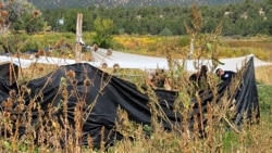 FILE - In this Sept. 29, 2021, photo provided by John Pettit, law enforcement officers with the Bureau of Indian Affairs inspect a cannabis garden at Picuris Pueblo, N.M.