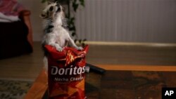 Un spot publicitaire pour Doritos, Super Bowl 2013.