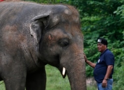 A Four Paws veterinarian is pictured with an elephant named Kaavan at the Maragzar Zoo in Islamabad, Pakistan, Sept. 4, 2020.