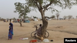 FILE - A man sells tomatoes under a tree at the Minawao refugee camp in Minawao, Cameroon.