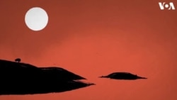 ኢትዮጵያ-ክልል ትግራይ: ካብ ግጭት ናብ ሰብኣዊ ቅልውላው