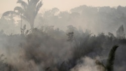 Jair Bolsonaro, sous forte pression, a même envisagé l'envoi de l'armée en Amazonie