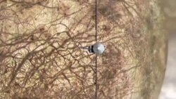 Mission Europa Clipper : améliorer la compréhension du potentiel de vie extraterrestre
