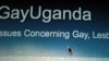 Africa's Gay Activists Use Internet to Advance Homosexual Rights