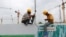 FILE - Workers work at the Vietnam Hoang Anh Gia Lai (HAGL) construction site in Rangoon, Sept. 20, 2013.