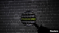 FILE - A magnifying glass is held in front of a computer screen in this picture illustration taken in Berlin, May 21, 2013. 