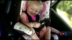 Популяція кліщів цього року зросла втричі. Як захиститися? - поради американських медиків. Відео