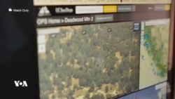 Di Dema Şewatên Daristanan de Girîngîya App'ên Wek Watch Duty