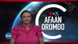 Tamsaasa Guyaadhaa Guyyaa