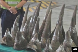 Rhino horns from South Africa seized late last year by customs officials in Hong Kong