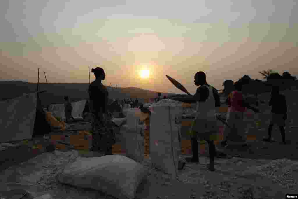 Peoples gather cassavas near the river Oubangui, a natural border between Central Africa Republic and Democratic Republic of Congo, in Bangui, Feb. 16, 2014. 
