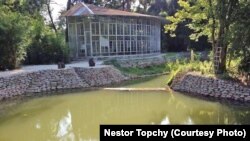 Ставок у дворі художника Нестора Топчія