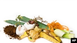 A Seattle company plans to recycle food into electricity.