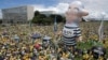 Throngs of Brazilian Protesters Demand President's Ouster