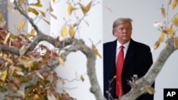 President Donald Trump waits outside the Oval Office of the White House on the South Lawn in Washington, Nov. 26, 2019.