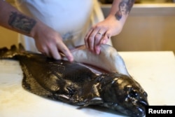 Chef Christopher Haatuft prepares a dish of halibut at his restaurant Lysverket in Bergen, Norway, July 31, 2018.