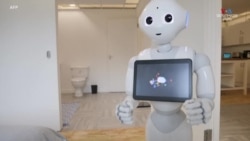 Ռոբոտները սովորում են խնդիրներ լուծել միմյանցից և համացանցից