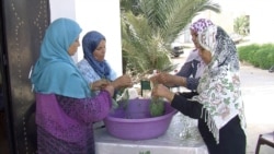 Samira Sghaier (2nd left) and a group of women strip leaves from moringa branches to use for powders and oil. (Lisa Bryant/VOA)