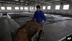 FILE - A Chinese worker pushes a cart full of grain sorghum at a factory north of Beijing, Sunday, Jan. 27, 2008.
