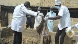 Gawar Hanifa da aka tono