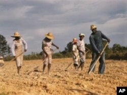 This is the work life that millions of southern blacks left behind when they boarded northbound buses and trains during the Great Migration.