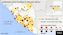 Confirmed cases of Ebola in Western Africa (click to enlarge)