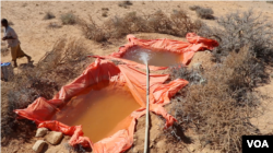 Water deliveries fill up makeshift pools dug by pastoralists. Many are sharing their water with their animals to keep them alive, in the Puntland desert, Somalia, March 2017. (N. Wadekar/VOA)