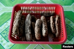 A basket of dried sea cucumbers is seen in Mapan Mapan, Sabah, Malaysia, July 7, 2018.