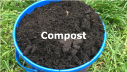 Quiz - What Is Composting? And How to Start.