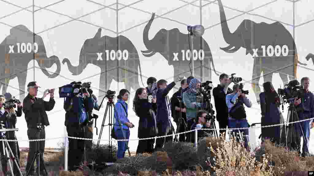 Media coverage of the Fish and Widllife Service crush was designed to call for an end to domestic sales of antique and new ivory. &#39;These trinkets ... actually were a function of an animal dying in the field,&quot; said a State Department official. &quot;We have some work to do.&quot;