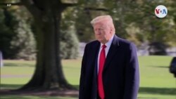 Trump ofrece ayuda a México para combatir los cárteles