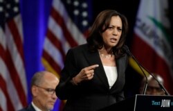 FILE - Democratic presidential candidate Sen. Kamala Harris, D-Calif., speaks at the Democratic National Committee's summer meeting, Aug. 23, 2019, in San Francisco.