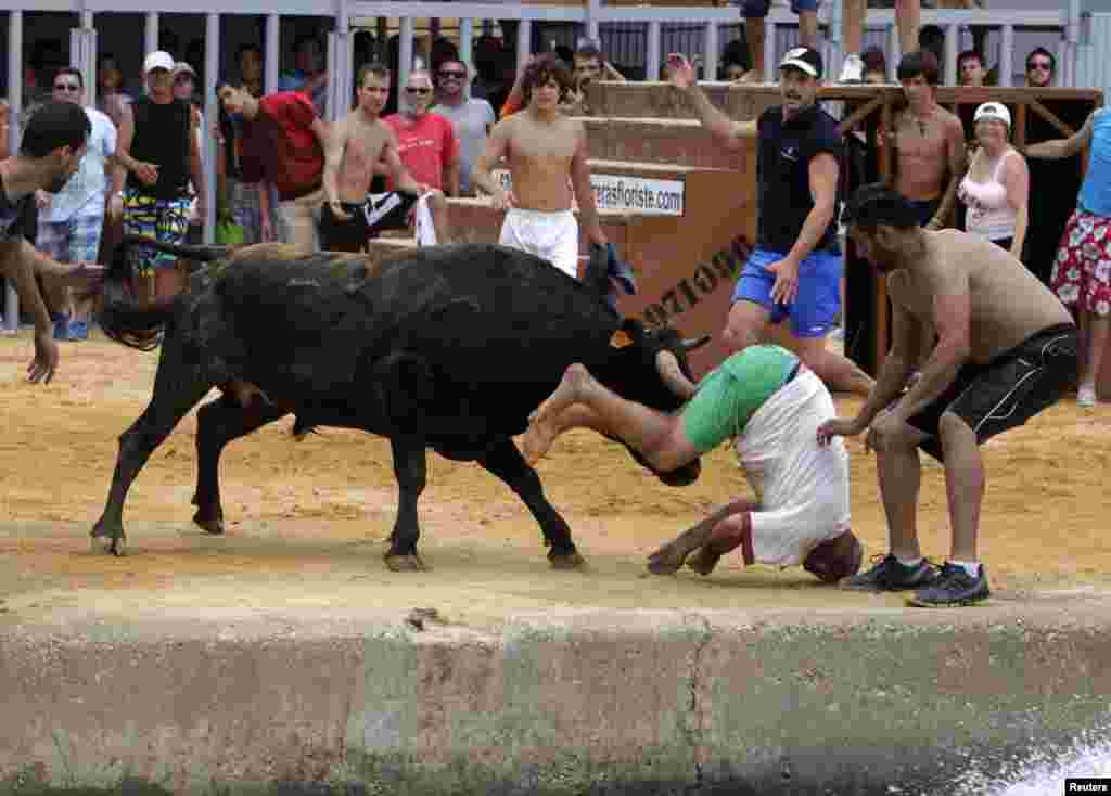 Seorang penonton terkena tandukan banteng pada festival &quot;Bous a la Mar&quot; di Denia, Spanyol timur.