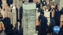 Billionaire Investor Joins Democratic Presidential Race