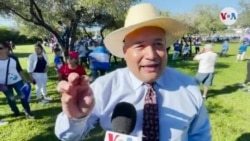 "La diáspora nicaragüense sacará a Ortega del poder"