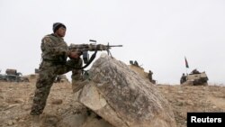 چارواکي وايي، د طالبانو ټول بریدونه یې پر شا تمبولي دي