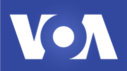 Presiden Perintahkan Usut Pelaku Perusakan Lingkungan