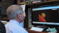 Experts Watching MERS Outbreak for Global Menace