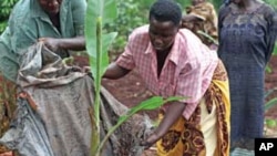 Bread for the World says women farmers need equal rights and equal access to resources.