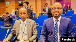 Wafdiga Soomaaliya ee IAEA