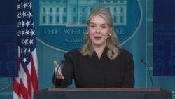 کارولین لیویت سخنگوی قصر سفید