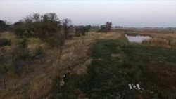 Killing to Conserve? Trophy Raises Difficult Questions